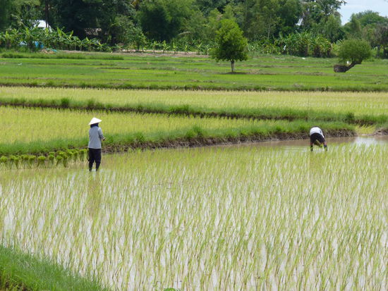 Sicher keine leichte Arbeit!