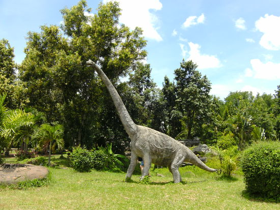 ...und wieder ein größeres Modell....