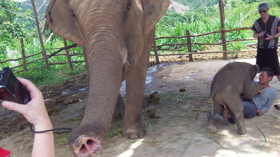 Der Kleine ist ziemlich stürmisch!