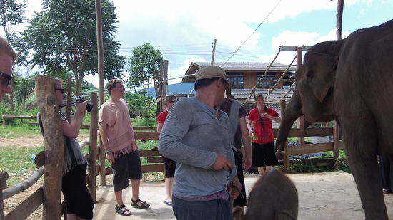 Erste Annäherungen.