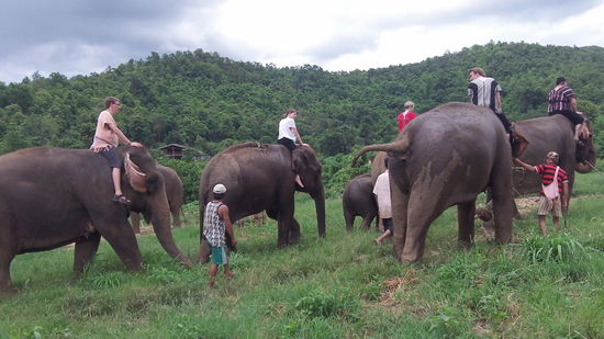 Auf gehts auf den Dschungelpfad.