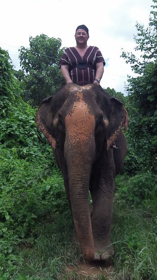 Ganz schön hoch so ein Dschungelmoped!