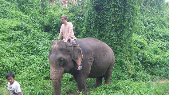 Sattes Grün ringsumher.