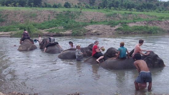 Zur Belohnung geht es dann für alle in den Fluss. Das war echt toll!!