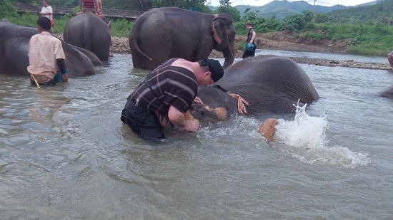 Rüsselpflege und Streicheleinheiten.