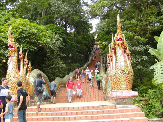 Upps, da haben die Schlangen die beiden Touris gefressen.