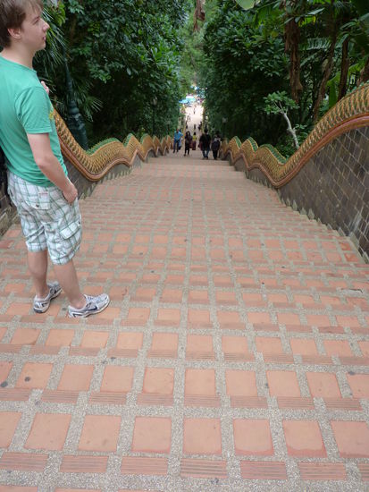 Von nun an gings bergab.