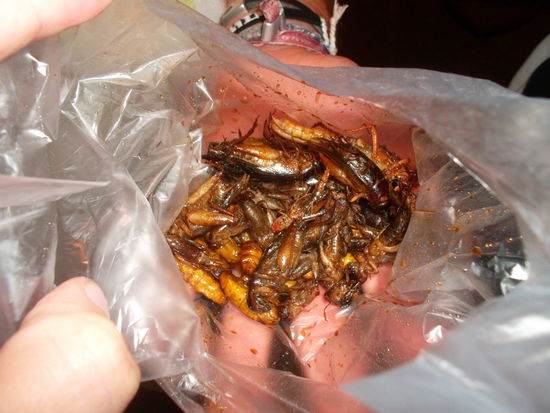 Hier unsere Auswahl aus der Naehe, ein kleiner Mix von allem