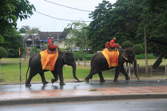 Vor unserem Restaurant beim Abendessen