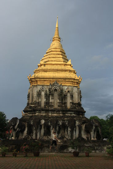 Hier die mal etwas andere Chedi des Wat Chiang Mun mit riesen Elefanten als Sockel.