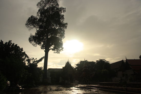 kurze Unterbrechung im Regenschauer (hinter dem Wat Chedi Luang)