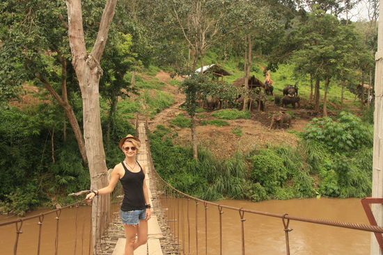 Die Haengebruecke rueber zum Elefantenberg