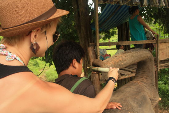 Ela beim Elefantenfuettern