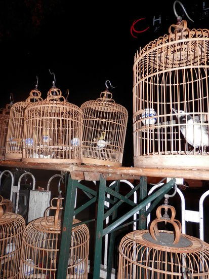 Vogelkaefige saeumen den Strassenrand