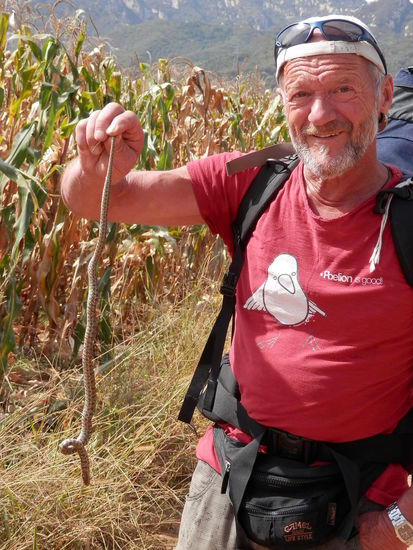 Walter, der Schlangenbaendiger...