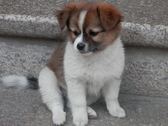 mein Sonnenschein im "Sunrice"- Hostel