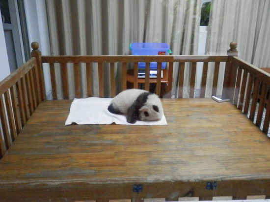 ...der ist schon im Kindergarten, hihi...