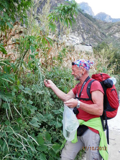 ...und da nehm ich mir doch biss'chen von dem .....lalalala....mit