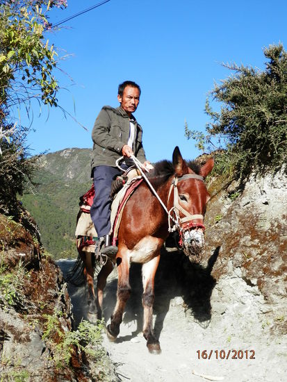 der ernste blick veraet viel ueber das leben in den bergen...