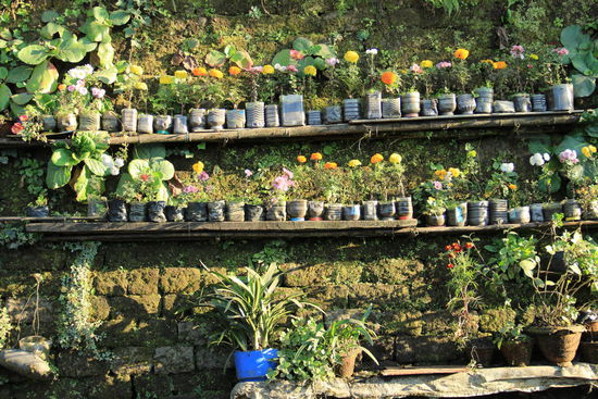 indische Idee für daheim....