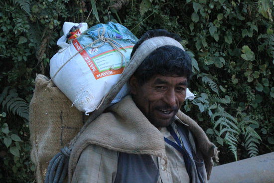 transportiert wird viel auf den Rücken der Inder, ob die auch Bandscheibenprobleme kriegen???