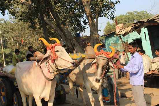 Straßenbild in Agra....