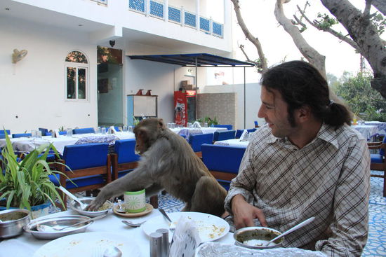 diesen anständigen Tischnachbarn werden wir wohl nie mehr vergessen