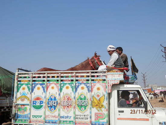 Pferdetransport auf indisch