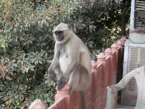 ...na, Fruehstueck gefaellig....