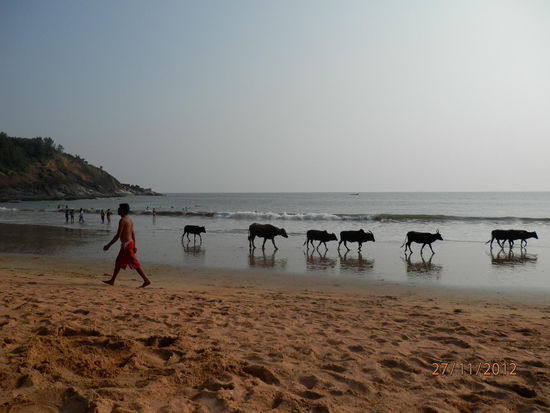 Ankunft im indischen  Paradies