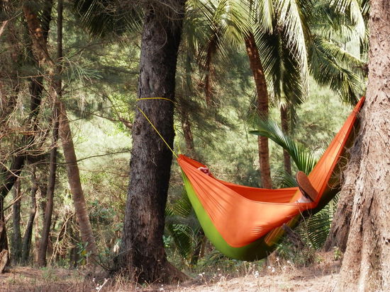 Abhaengen in der Haengematte unter Palmen...