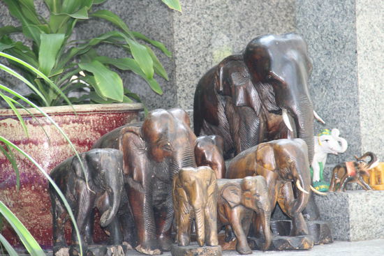 das Heiligste überhaupt, die Elefanten...
dumm nur, das die Menschen ihren Lebensraum selbst zerstören!