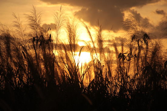 Oh, hier gibt es die schönsten Sonnenuntergänge...