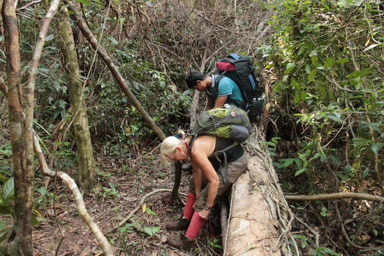 So, da zieh ich mir doch mal lange Socken an....