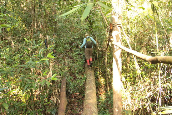 macht keinen Quatsch Jungs, sonst stürz ich ab...