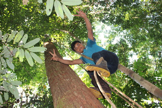 Lianen halten wirklich gut...