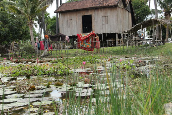 nicht viel zum Leben und doch genug...