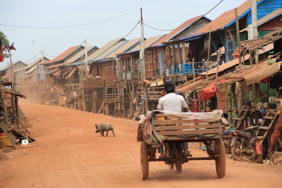 alles lebt friedlich miteinander....