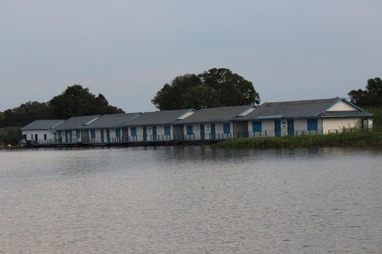 schwimmende Schule...