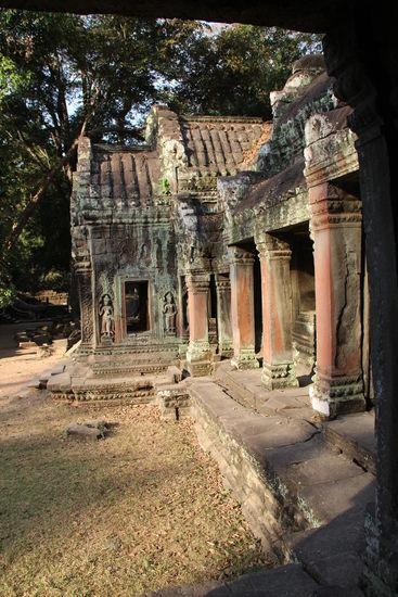 oh...so mystisch und schön in der Abendsonne