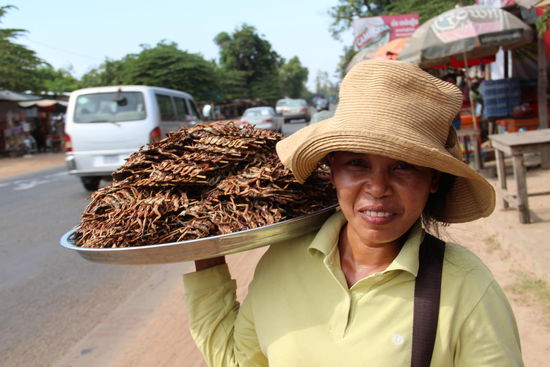ich glaube, die frösche ißt sie auch nicht...