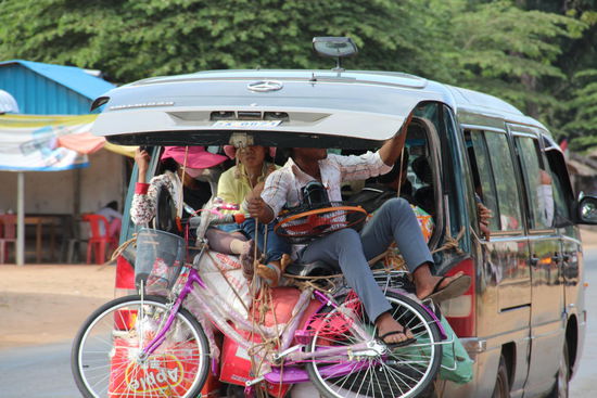 ...ob die wohl umziehen????