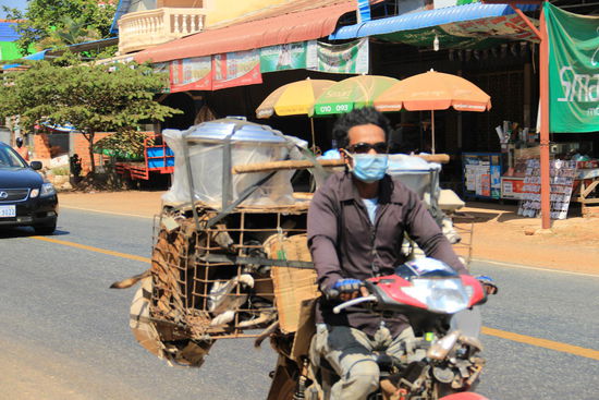 oben der Topf und unten die Zutaten.....