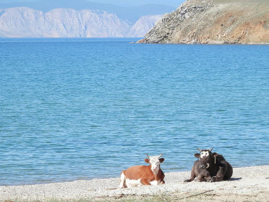 Trude und Frieda haben sich schon am Morgen ein Handtuch an den Strand gelegt, wegen der vielen Urlauber...............grins