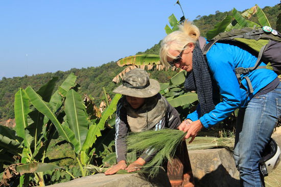 nach dem Ausschlagen der Samen fühlt sich das Ganze sehr weich an...
wir sind erstaunt, wieviele Produkte aus Naturmaterial sich herstellen lassen