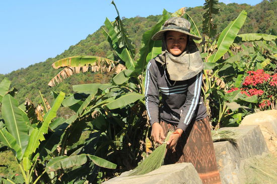 harte Arbeit, sie klopft Schilf aus, um daraus Besen herzustellen...
