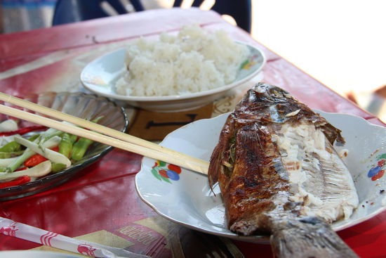 ...und den leckeren Fisch auch!