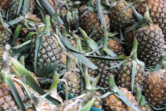 Marktimpressionen: Ananas im Überfluss...