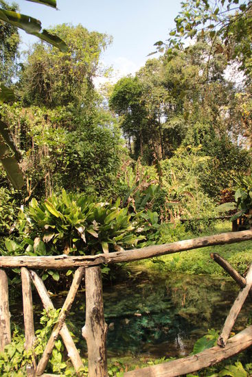 herrliche, üppige Gärten überall...