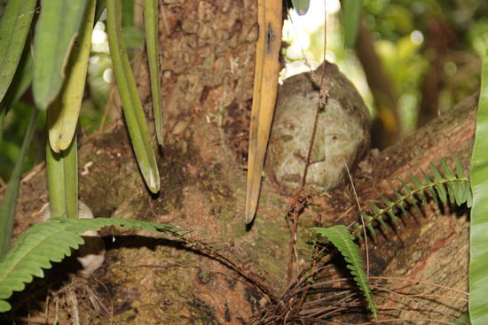 Gartenimpressionen....